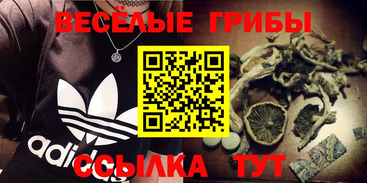 Псилоцибиновые грибы Cubensis  Вход с VPN  Мыски 