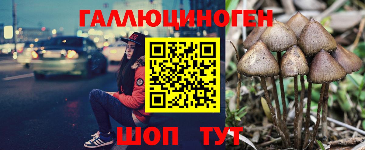 Псилоцибиновые грибы мухоморы Мыски